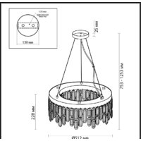 Подвесная люстра Odeon Light Dakisa 4986/6 - Превью изображения №2 — Интернет-магазин Time-Shop
