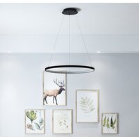 Подвесная люстра Favourite Giro 1764-6P - Превью изображения №4 — Интернет-магазин Time-Shop