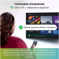 Телевизор Skyline 43LST6385 - Превью изображения №9 — Интернет-магазин Time-Shop