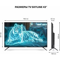Телевизор Skyline 43LST6385 - Превью изображения №7 — Интернет-магазин Time-Shop