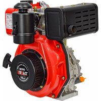 Дизельный двигатель Brait BR300D - Превью изображения №4 — Интернет-магазин Time-Shop