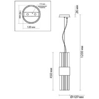 Подвесная люстра Odeon Light Viketa 4786/2 - Превью изображения №5 — Интернет-магазин Time-Shop