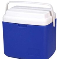 Автохолодильники, термобоксы, термосумки