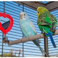 Клетка Ferplast Piano 6 (серый) 52064811W2 - Превью изображения №7 — Интернет-магазин Time-Shop