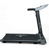 Электрическая беговая дорожка Calviano Harvi (серый) - Превью изображения №17 — Интернет-магазин Time-Shop