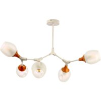 Evoluce Ciotolla SLE113502-05