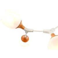 Люстра средней высоты Evoluce Ciotolla SLE113502-05 - Превью изображения №4 — Интернет-магазин Time-Shop