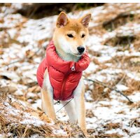 Жилетка для животных Puppia Ultra Light Vest A PAPD-JM1670-RD-L (красный) - Превью изображения №4 — Интернет-магазин Time-Shop