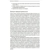 Книга издательства Альпина Диджитал. Командный подход. Создание высокоэффективной организации (Катценбах Ж.) - Превью изображения №11 — Интернет-магазин Time-Shop
