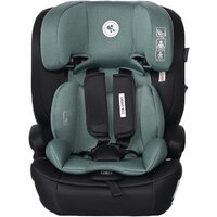 Lorelli Colombo (Green Pine)