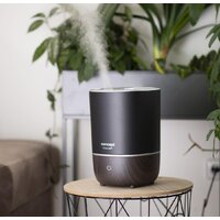 Увлажнитель воздуха Concept ZV1210 (чёрный) - Превью изображения №5 — Интернет-магазин Time-Shop