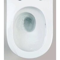 Унитаз подвесной Roxen Vortex в комплекте с инсталляцией StounFix Dual Fresh 6 в 1 968489 (кнопка: сатин) - Превью изображения №11 — Интернет-магазин Time-Shop