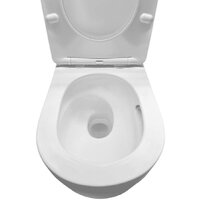 Унитаз подвесной Roxen Vortex в комплекте с инсталляцией StounFix Dual Fresh 6 в 1 968489 (кнопка: сатин) - Превью изображения №6 — Интернет-магазин Time-Shop