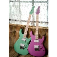 Электрогитара Cort G250 Spectrum MPU - Превью изображения №5 — Интернет-магазин Time-Shop