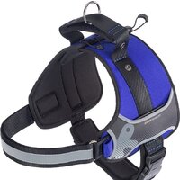 Ferplast Hercules P L 75468425 (синий)