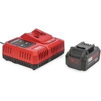 Skil CB5196SE12 (20В/4 Ah + 20В)