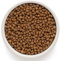 Сухой корм для собак Grandorf Dog Puppy Lamb & Turkey (с ягненком и индейкой) 10 кг - Превью изображения №3 — Интернет-магазин Time-Shop