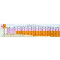 Сухой корм для собак Grandorf Dog Puppy Lamb & Turkey (с ягненком и индейкой) 10 кг - Превью изображения №5 — Интернет-магазин Time-Shop