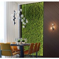 Подвесная люстра Odeon Light Tovi 4818/6 - Превью изображения №3 — Интернет-магазин Time-Shop