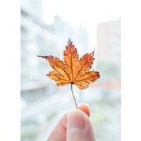 Объектив Nikon NIKKOR Z 28-75mm f/2.8 - Превью изображения №14 — Интернет-магазин Time-Shop