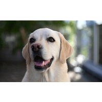 Объектив Nikon NIKKOR Z 28-75mm f/2.8 - Превью изображения №12 — Интернет-магазин Time-Shop