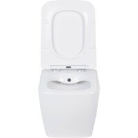 Унитаз подвесной Roxen Cube bidet в комплекте с инсталляцией StounFix Dual Fresh 6 в 1 968439 (кнопка: сатин) - Превью изображения №6 — Интернет-магазин Time-Shop