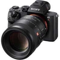 Объектив Sony FE 100mm F2.8 STF GM OSS [SEL100F28GM] - Превью изображения №4 — Интернет-магазин Time-Shop