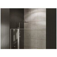 Душевая дверь Allen Brau Priority 3.31029.BA 294058 (серебро браш) - Превью изображения №13 — Интернет-магазин Time-Shop