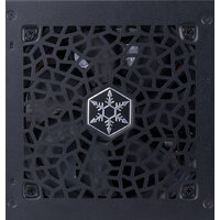 Блок питания SilverStone Decathlon DA750R Gold SST-DA750R-GMA - Превью изображения №6 — Интернет-магазин Time-Shop