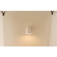 Бра Home Light Астерия B133-W - Превью изображения №2 — Интернет-магазин Time-Shop