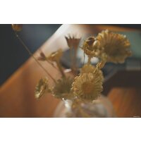 Беззеркальный фотоаппарат Sony Alpha a7C II Kit 28-60mm (черный) - Превью изображения №20 — Интернет-магазин Time-Shop