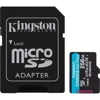 Kingston Canvas Go! microSDXC 256GB SDCG4/256GB (с адаптером)