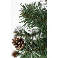 Ель Maxy Poland Русская с шишками 5751912 2 м - Превью изображения №4 — Интернет-магазин Time-Shop