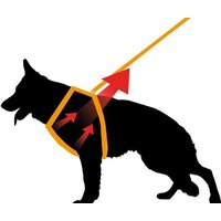 Шлея Ferplast Giotto Luxor P L-XL 76113917 (черный) - Превью изображения №2 — Интернет-магазин Time-Shop