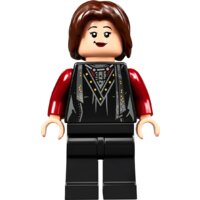 Конструктор LEGO Harry Potter 75980 Нападение на Нору - Превью изображения №5 — Интернет-магазин Time-Shop