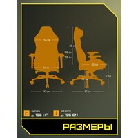 Игровое (геймерское) кресло Brave AF-15 (Imba Black) - Превью изображения №12 — Интернет-магазин Time-Shop