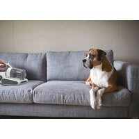 Пылесос для удаления пылевых клещей Hoover HMC510UV 011 - Превью изображения №10 — Интернет-магазин Time-Shop