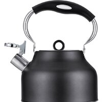 Чайник со свистком Regent Inox 93-TEA-49 - Превью изображения №3 — Интернет-магазин Time-Shop