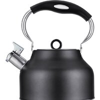 Чайник со свистком Regent Inox 93-TEA-49 - Превью изображения №2 — Интернет-магазин Time-Shop