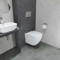 Унитаз подвесной Lauter Vortex 2110830VP - Превью изображения №13 — Интернет-магазин Time-Shop