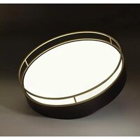 Припотолочная люстра Sonex Lofty 7723/100L - Превью изображения №7 — Интернет-магазин Time-Shop