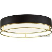 Припотолочная люстра Sonex Lofty 7723/100L - Превью изображения №4 — Интернет-магазин Time-Shop