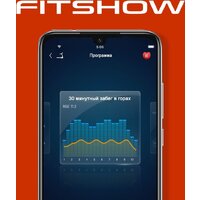 Электрическая беговая дорожка Titanium Masters Slimtech C10 (коричневый) - Превью изображения №17 — Интернет-магазин Time-Shop