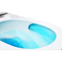 Унитаз подвесной Roxen Vortex 530160-01 Rimless Soft Close - Превью изображения №6 — Интернет-магазин Time-Shop