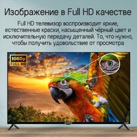 Телевизор MAUNFELD MLT43FST02 - Превью изображения №14 — Интернет-магазин Time-Shop