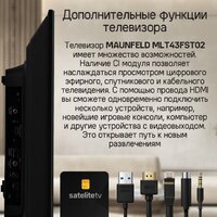 Телевизор MAUNFELD MLT43FST02 - Превью изображения №17 — Интернет-магазин Time-Shop