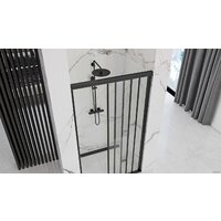 Душевая дверь Rea Alex 100 (черный/прозрачное стекло) - Превью изображения №2 — Интернет-магазин Time-Shop