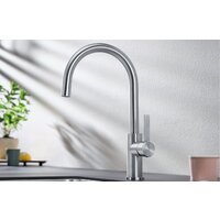 Смеситель Blanco Candor 523120 (нержавеющая сталь) - Превью изображения №2 — Интернет-магазин Time-Shop