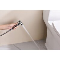 Гигиенический душ Ganzer GZ19157 - Превью изображения №11 — Интернет-магазин Time-Shop