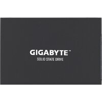 Gigabyte UD Pro 256GB GP-GSTFS30256GTTD